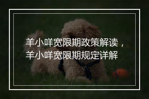羊小咩宽限期政策解读，羊小咩宽限期规定详解
