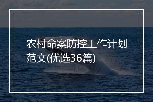 农村命案防控工作计划范文(优选36篇)