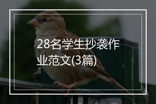 28名学生抄袭作业范文(3篇)