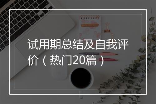 试用期总结及自我评价（热门20篇）