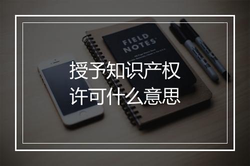 授予知识产权许可什么意思
