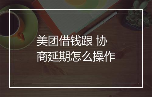 美团借钱跟 协商延期怎么操作