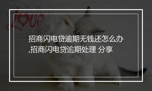 招商闪电贷逾期无钱还怎么办,招商闪电贷逾期处理 分享