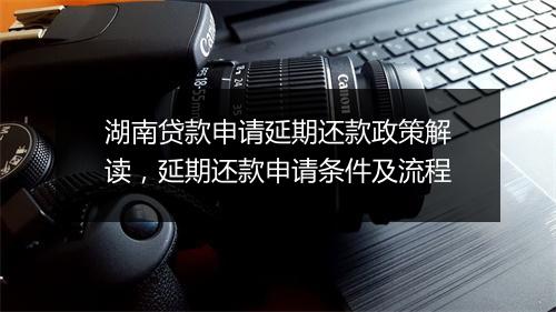 湖南贷款申请延期还款政策解读，延期还款申请条件及流程