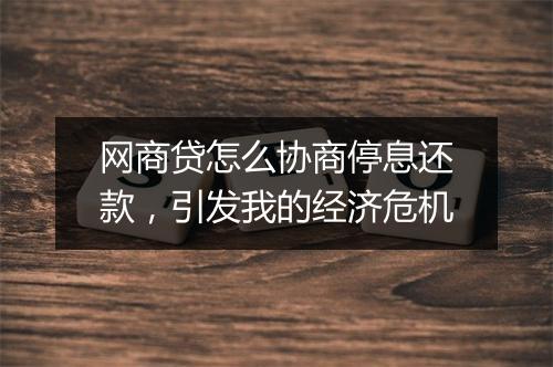 网商贷怎么协商停息还款，引发我的经济危机