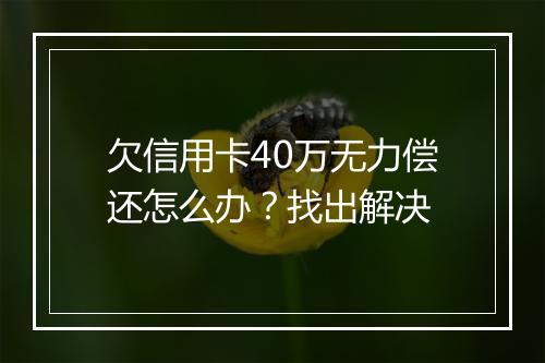 欠信用卡40万无力偿还怎么办？找出解决