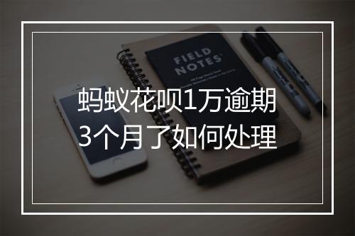 蚂蚁花呗1万逾期3个月了如何处理