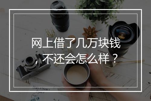 网上借了几万块钱，不还会怎么样？