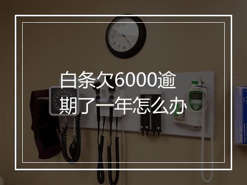 白条欠6000逾期了一年怎么办