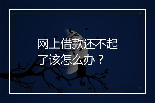 网上借款还不起了该怎么办？