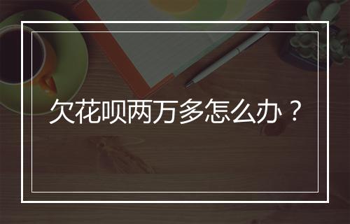 欠花呗两万多怎么办？