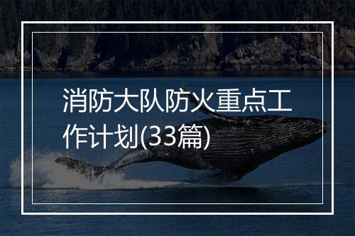 消防大队防火重点工作计划(33篇)