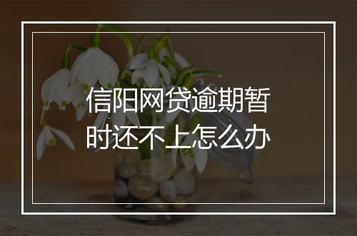信阳网贷逾期暂时还不上怎么办