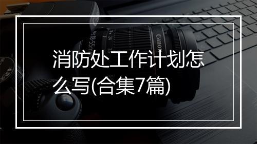 消防处工作计划怎么写(合集7篇)