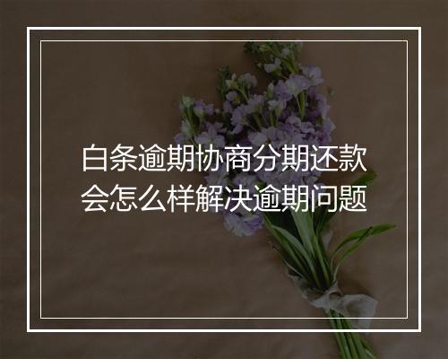 白条逾期协商分期还款会怎么样解决逾期问题