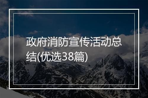 政府消防宣传活动总结(优选38篇)