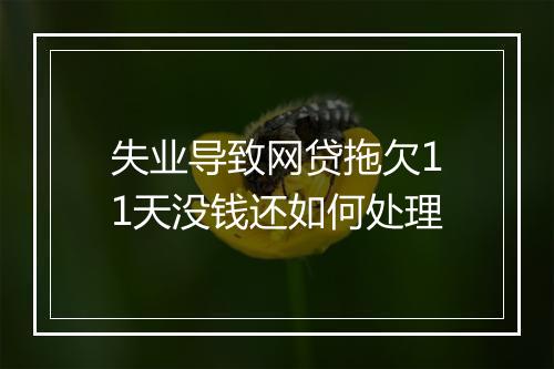 失业导致网贷拖欠11天没钱还如何处理