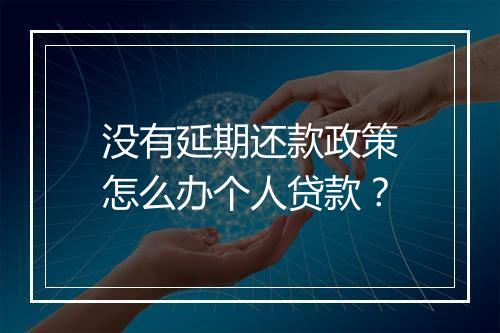 没有延期还款政策怎么办个人贷款？