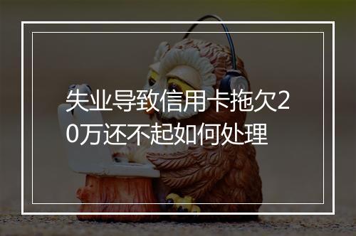 失业导致信用卡拖欠20万还不起如何处理