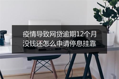 疫情导致网贷逾期12个月没钱还怎么申请停息挂靠