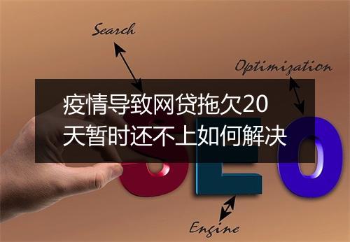 疫情导致网贷拖欠20天暂时还不上如何解决