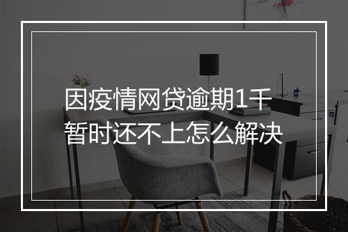 因疫情网贷逾期1千暂时还不上怎么解决