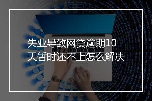 失业导致网贷逾期10天暂时还不上怎么解决