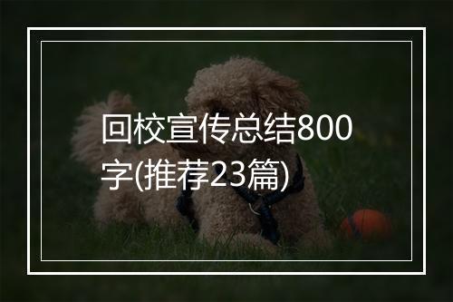 回校宣传总结800字(推荐23篇)