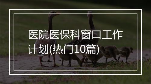 医院医保科窗口工作计划(热门10篇)