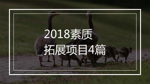 2018素质拓展项目4篇