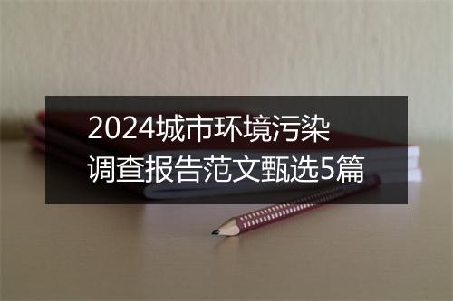 2024城市环境污染调查报告范文甄选5篇