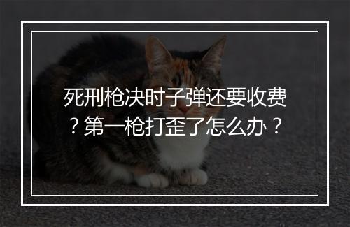 死刑枪决时子弹还要收费？第一枪打歪了怎么办？
