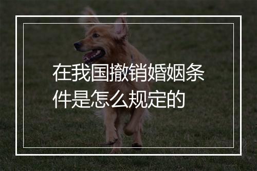 在我国撤销婚姻条件是怎么规定的