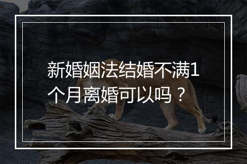 新婚姻法结婚不满1个月离婚可以吗？