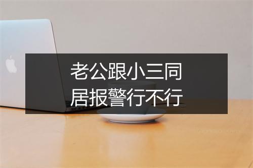 老公跟小三同居报警行不行