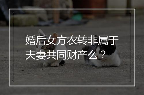 婚后女方农转非属于夫妻共同财产么？