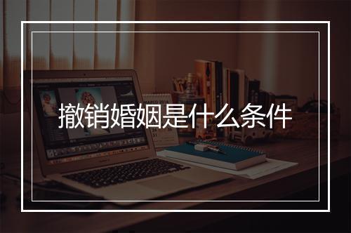 撤销婚姻是什么条件