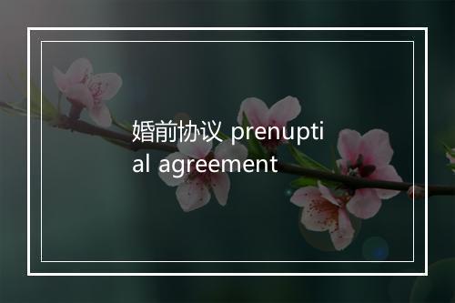 婚前协议 prenuptial agreement