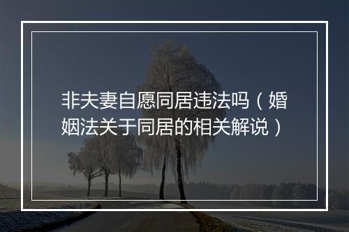 非夫妻自愿同居违法吗（婚姻法关于同居的相关解说）