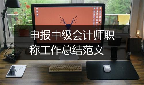 申报中级会计师职称工作总结范文