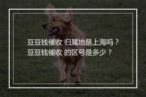 豆豆钱催收 归属地是上海吗？豆豆钱催收 的区号是多少？