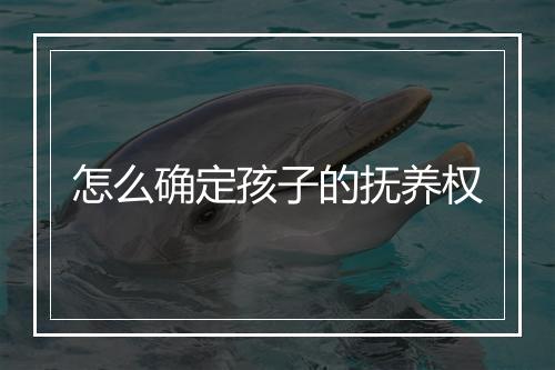 怎么确定孩子的抚养权