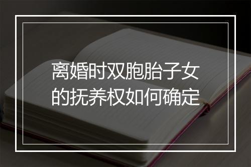 离婚时双胞胎子女的抚养权如何确定