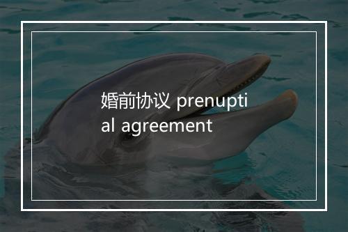 婚前协议 prenuptial agreement