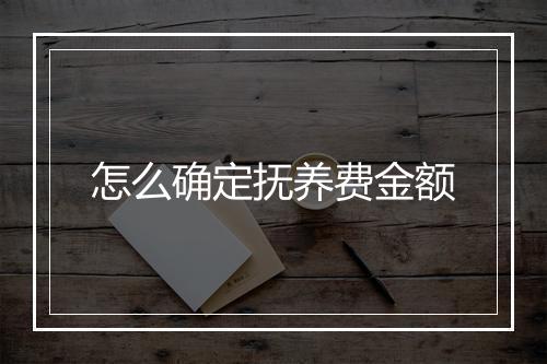 怎么确定抚养费金额