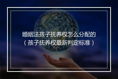 婚姻法孩子抚养权怎么分配的（孩子抚养权最新判定标准）
