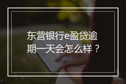 东营银行e盈贷逾期一天会怎么样？