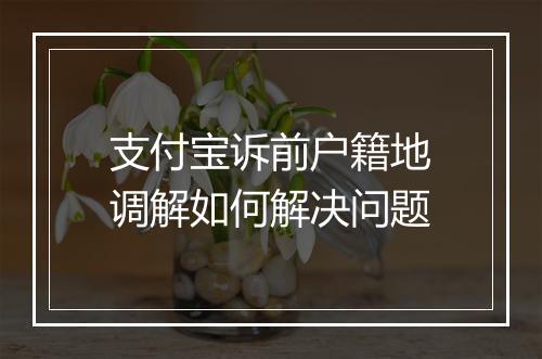 支付宝诉前户籍地调解如何解决问题