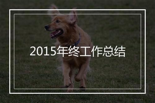 2015年终工作总结