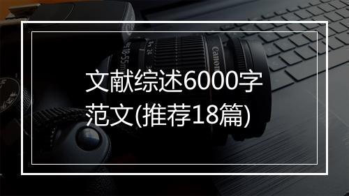 文献综述6000字范文(推荐18篇)